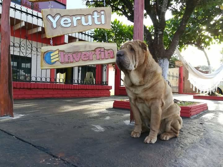 Posada Turistica Yeruti Encarnación Dış mekan fotoğraf